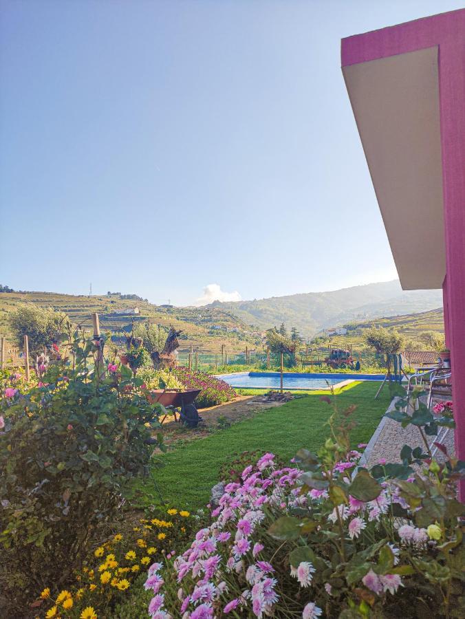 Quinta Dos Padrinhos - Suites In The Heart Of The Douro Lamego Exteriör bild