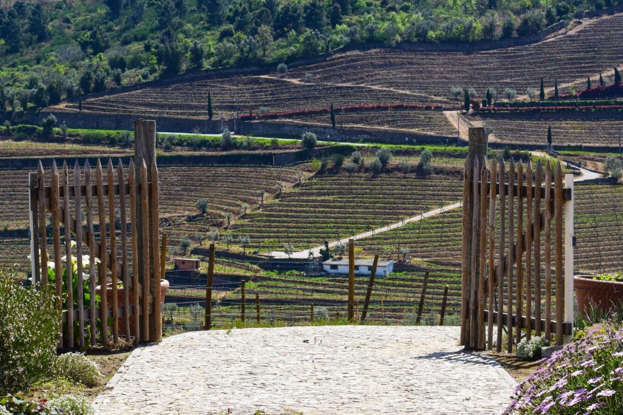Quinta Dos Padrinhos - Suites In The Heart Of The Douro Lamego Exteriör bild