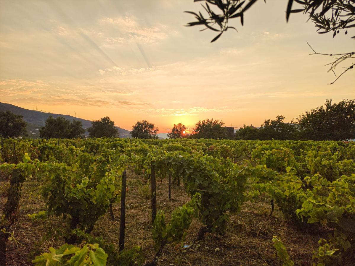 Quinta Dos Padrinhos - Suites In The Heart Of The Douro Lamego Exteriör bild
