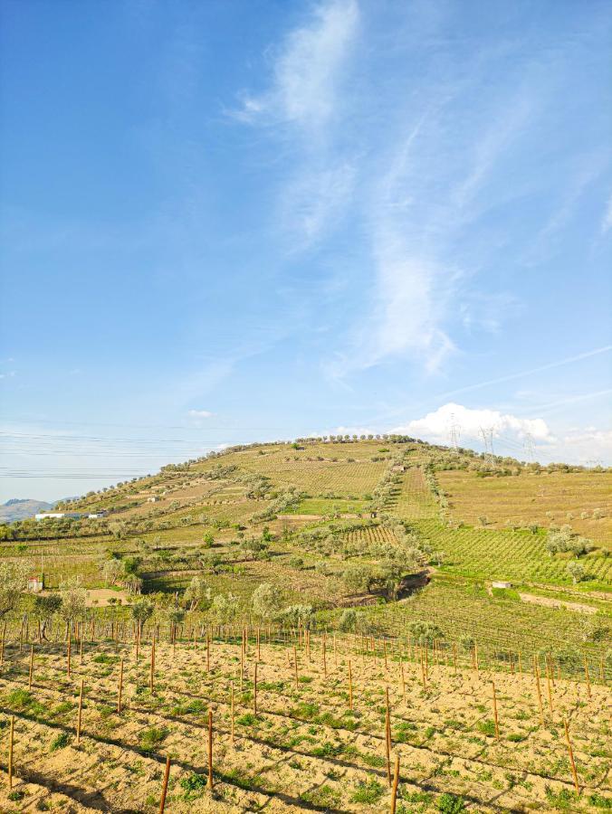 Quinta Dos Padrinhos - Suites In The Heart Of The Douro Lamego Exteriör bild