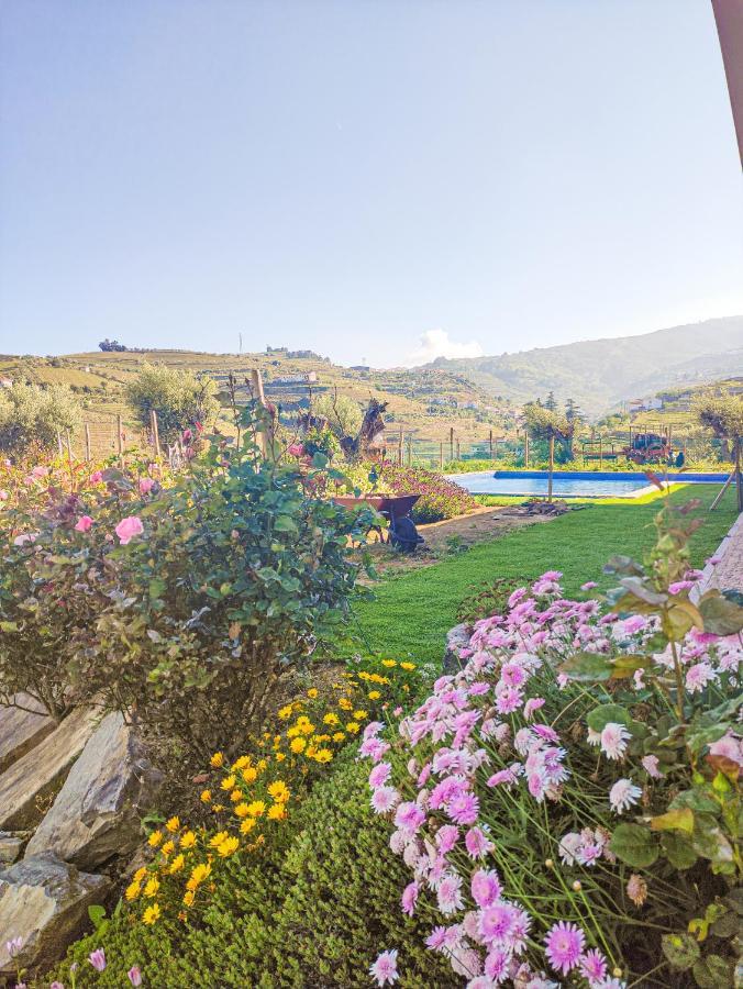 Quinta Dos Padrinhos - Suites In The Heart Of The Douro Lamego Exteriör bild