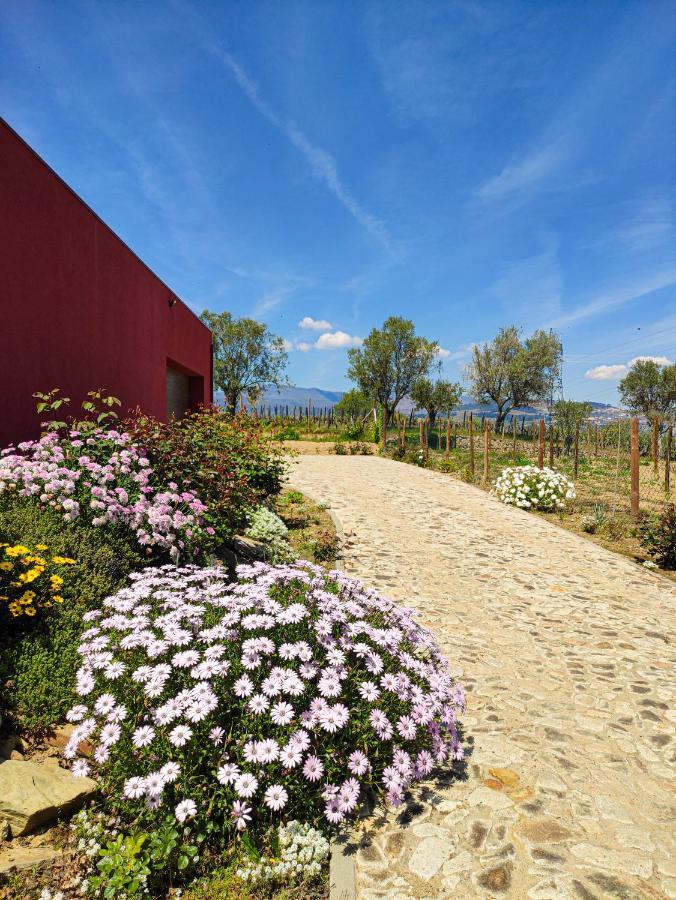 Quinta Dos Padrinhos - Suites In The Heart Of The Douro Lamego Exteriör bild