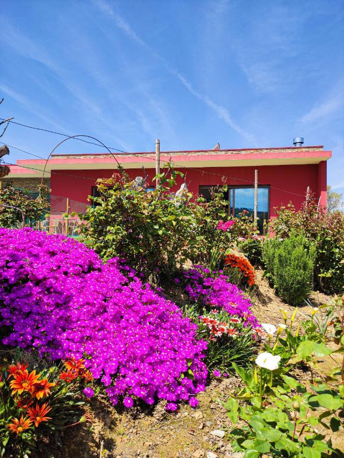Quinta Dos Padrinhos - Suites In The Heart Of The Douro Lamego Exteriör bild