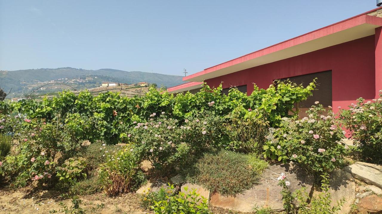 Quinta Dos Padrinhos - Suites In The Heart Of The Douro Lamego Exteriör bild