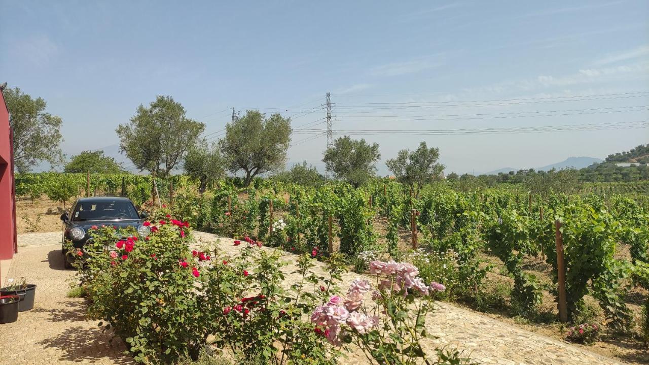 Quinta Dos Padrinhos - Suites In The Heart Of The Douro Lamego Exteriör bild