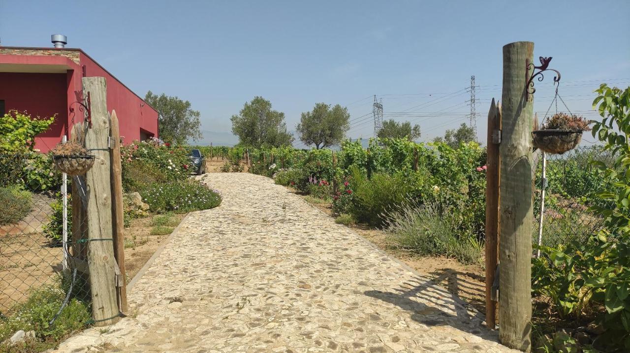Quinta Dos Padrinhos - Suites In The Heart Of The Douro Lamego Exteriör bild