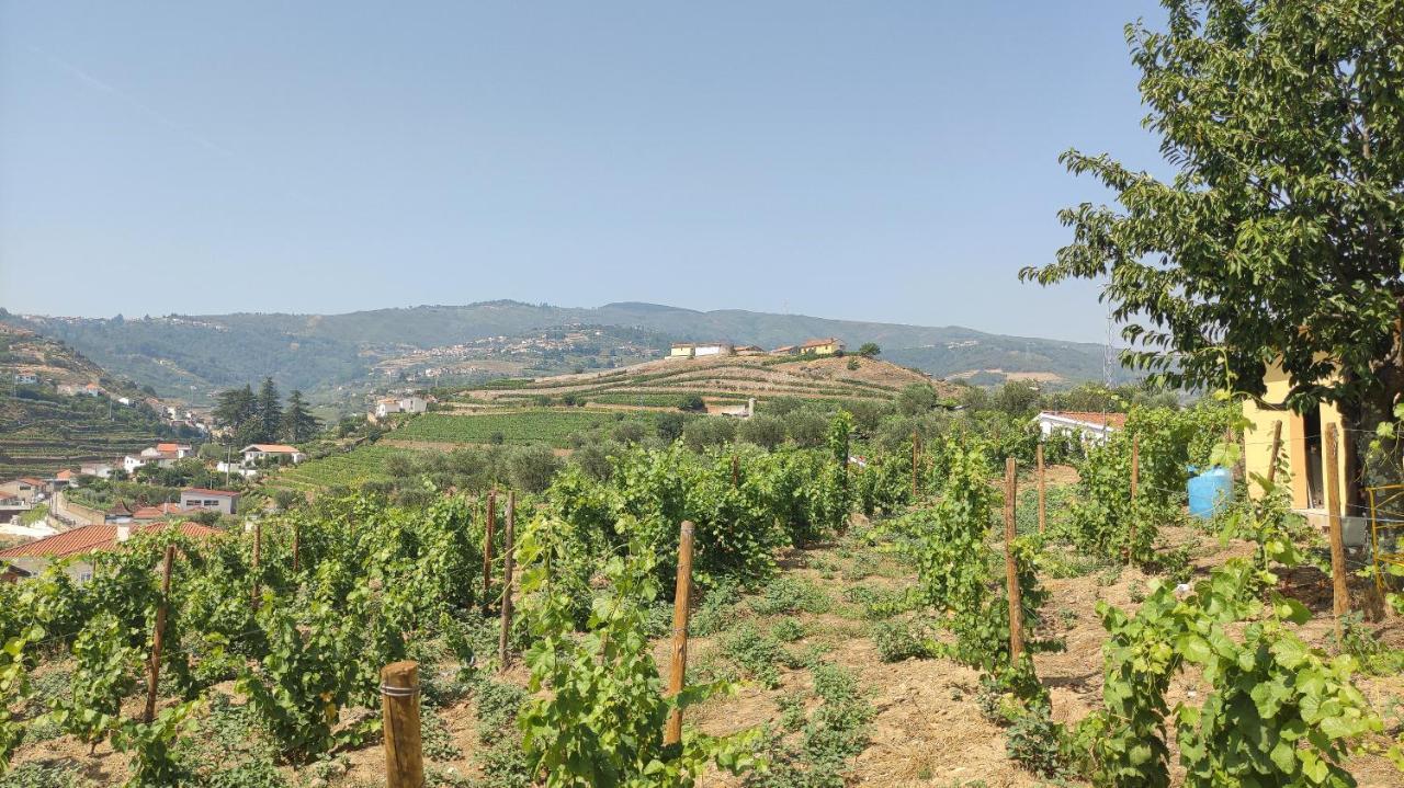 Quinta Dos Padrinhos - Suites In The Heart Of The Douro Lamego Exteriör bild