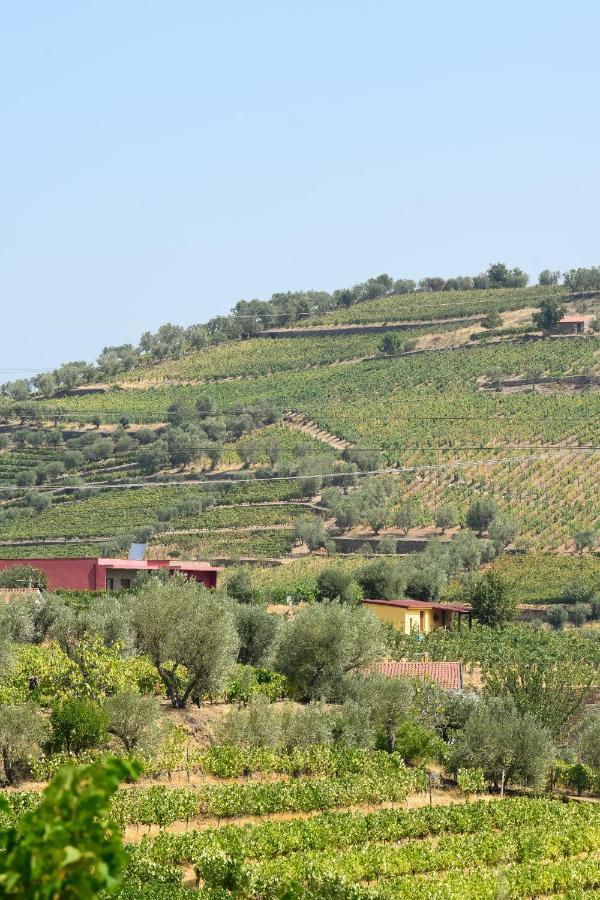 Quinta Dos Padrinhos - Suites In The Heart Of The Douro Lamego Exteriör bild